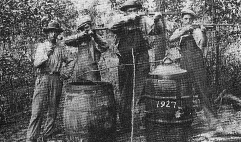 Introduction to POLITICAL MOONSHINE