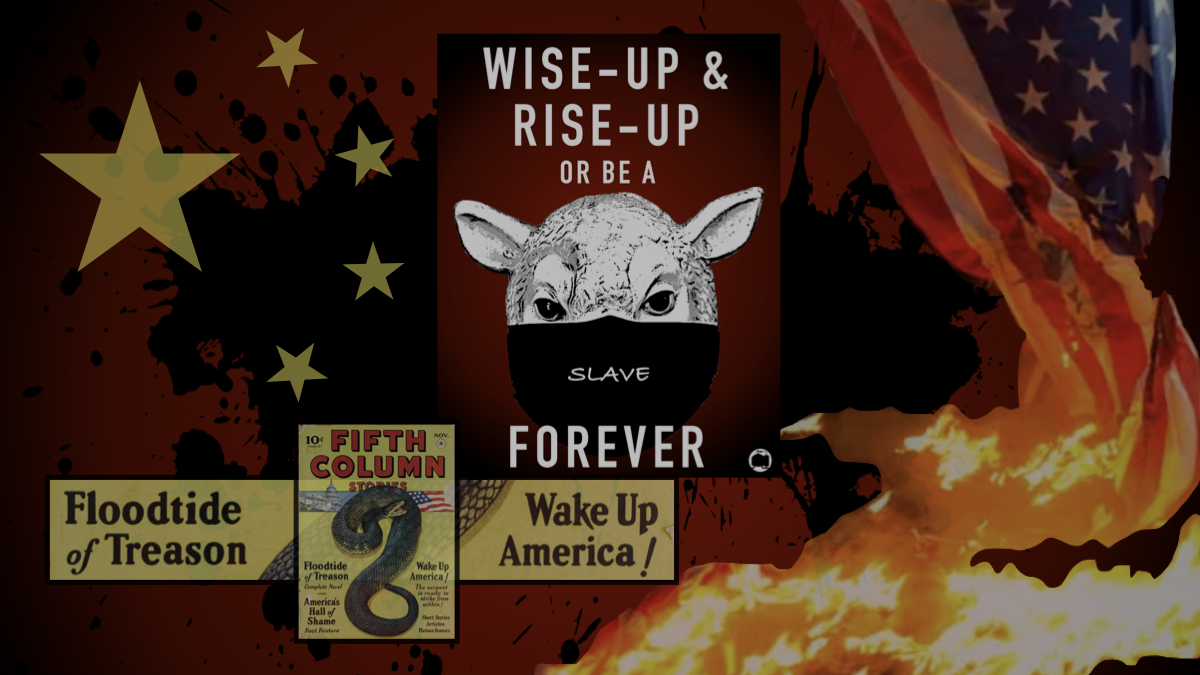 A NEW YEAR’S RESOLUTION FOR EVERYONE: Wise-up and Rise-up [or be a slave forever]